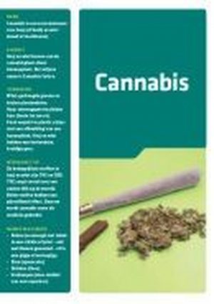 Folder Cannabis (bundel van 50 stuks)