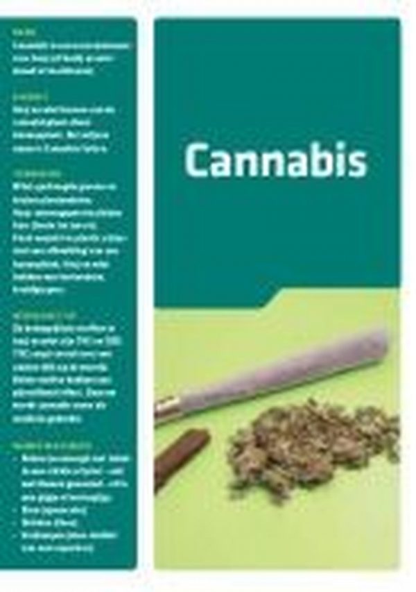 Folder Cannabis (bundel van 50 stuks)