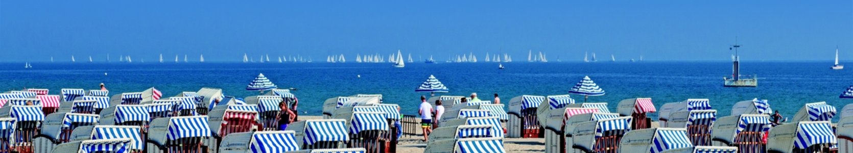 Zomersessies 2021; een zomer vol kennis