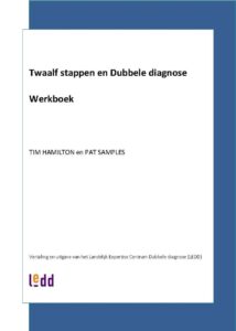 Twaalf stappen en Dubbele diagnose - Werkboek