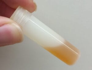 Een van de ingeleverde samples van vloeibare MDMA