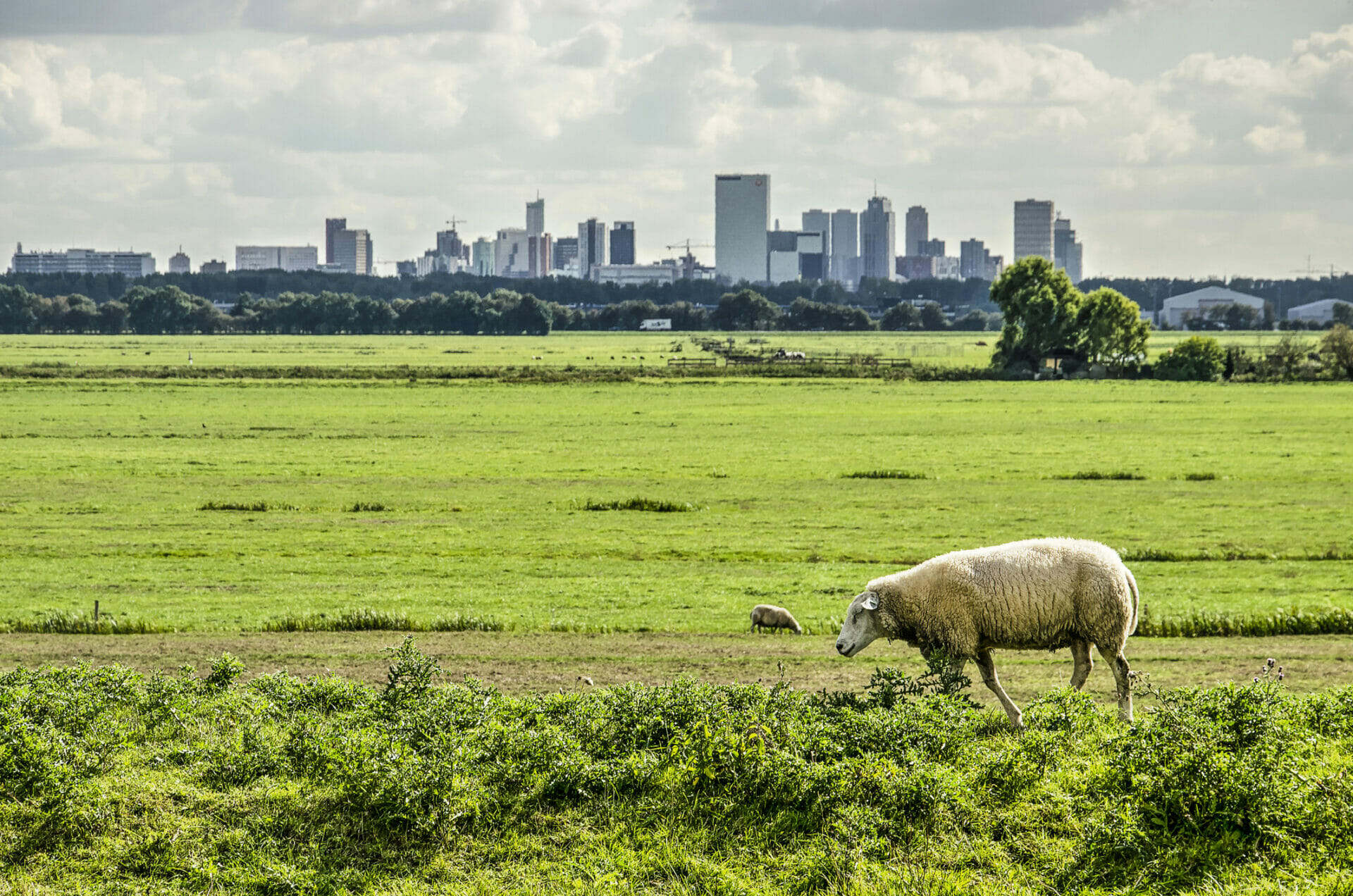 Istock.com - Frans Willem Blok