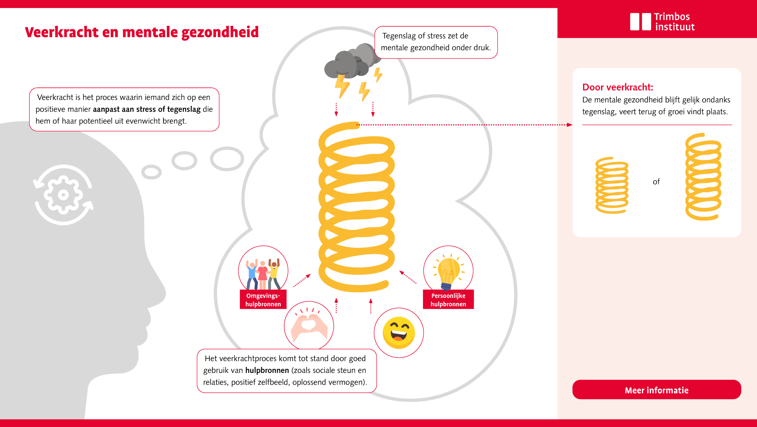 Figuur 1. Veerkracht visueel weergegeven. Klik op de afbeelding om het als pdf te openen en te downloaden.